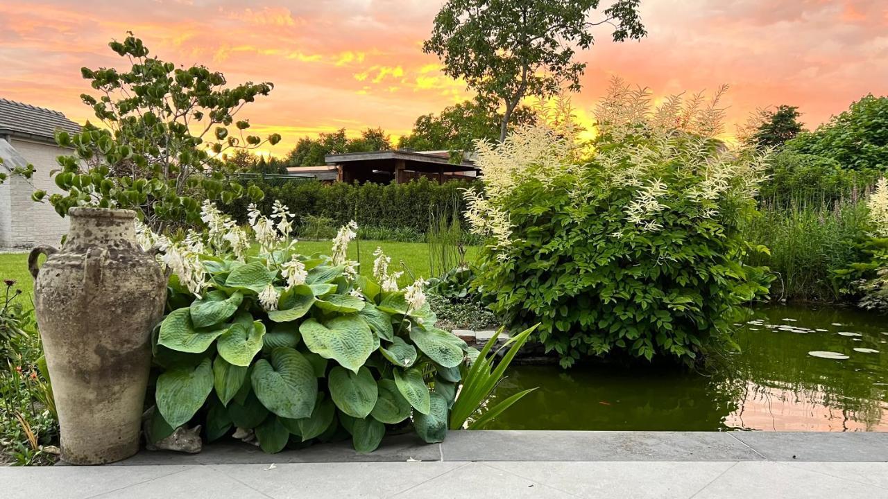 Ikigai B&B - Wellness Oud-Turnhout Exterior foto