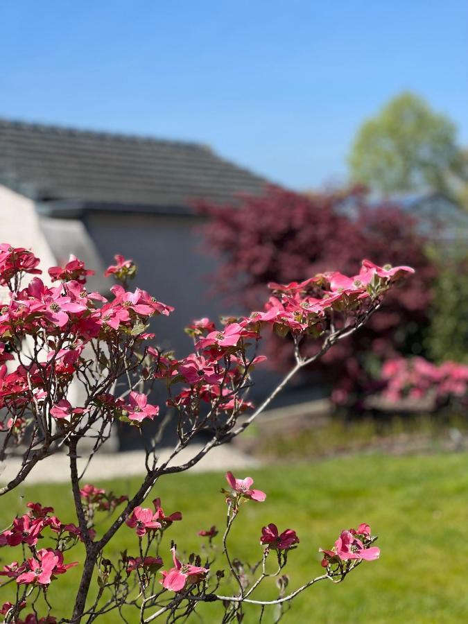 Ikigai B&B - Wellness Oud-Turnhout Exterior foto