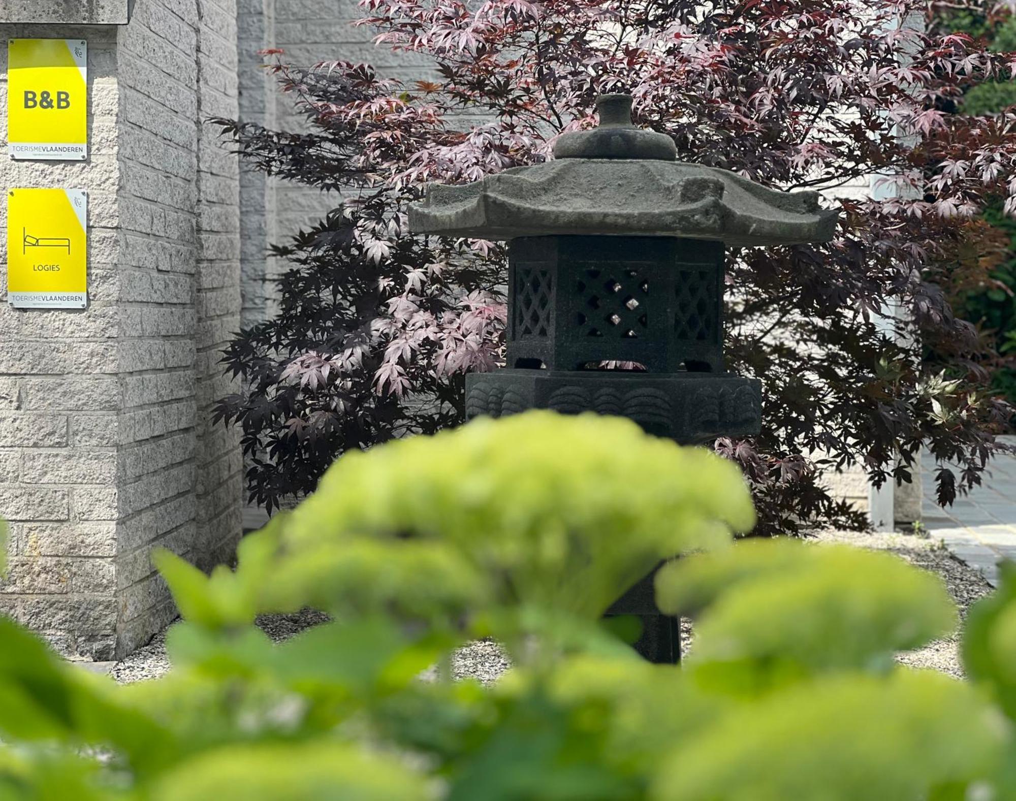 Ikigai B&B - Wellness Oud-Turnhout Exterior foto